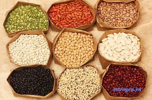 Các loại hạt họ đậu 1 Các loại hạt họ đậu 1