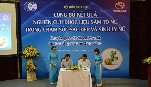 Sâm Nhung Tố Nữ Tuệ Linh là gì? 1