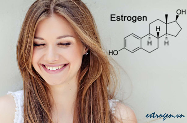 Estrogen là gì? 1