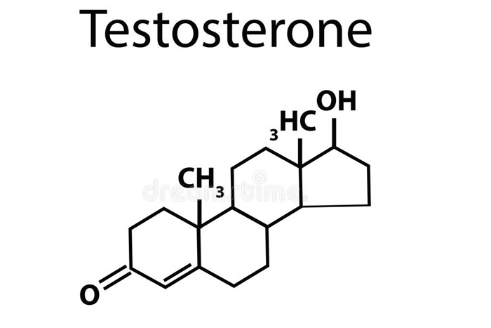 Nội tiết tố testosterone 1