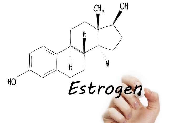 Nội tiết tố nữ Estrogen 1