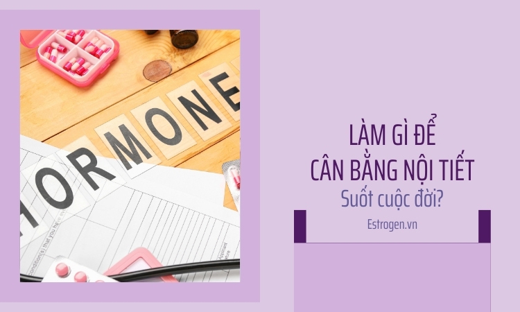 Những điều bạn nên biết để estrogen luôn cân bằng ở mỗi giai đoạn cuộc đời