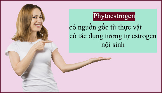 Phytoestrogen là gì? 1
