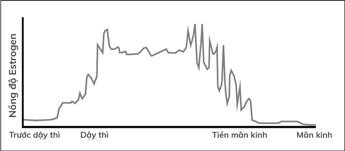 Dậy thì 1