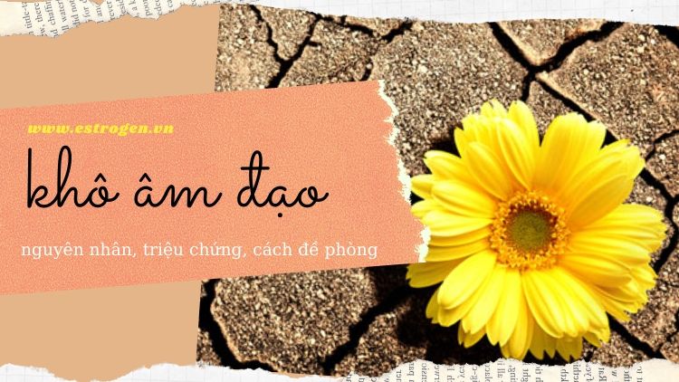 Khô âm đạo- nguyên nhân, triệu chứng, cách đề phòng 1