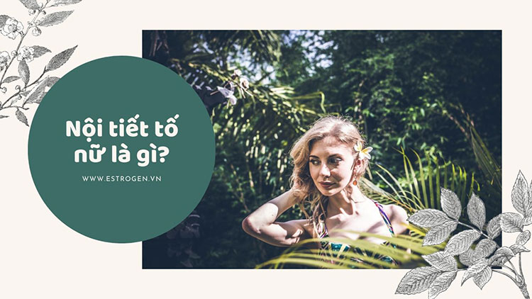 Nội tiết tố nữ là gì? 1