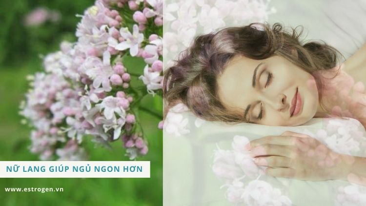 2. Nữ lang giúp phụ nữ tiền mãn kinh - mãn kinh có giấc ngủ ngon hơn 1