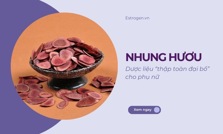 Nhung hươu – Dược liệu “thập toàn đại bổ” cho phụ nữ Nhung hươu – Dược liệu “thập toàn đại bổ” cho phụ nữ