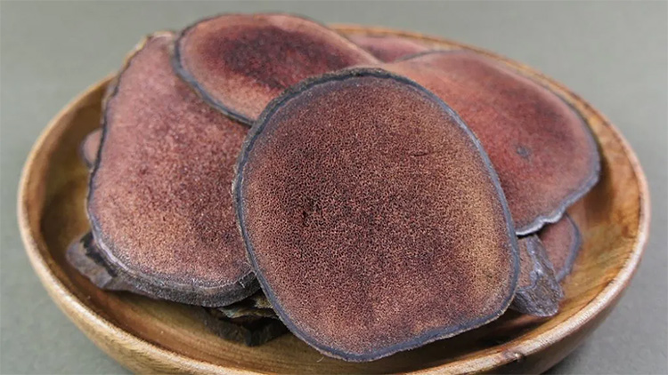 Nhung hươu - thượng dược cho phái đẹp 1