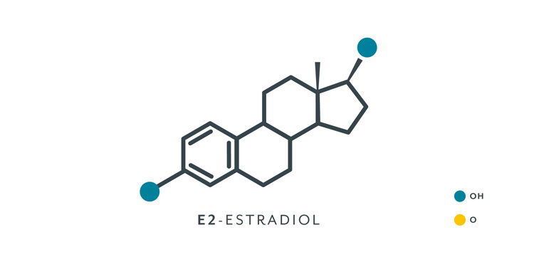 Estrogen – Suối nguồn tươi trẻ 1