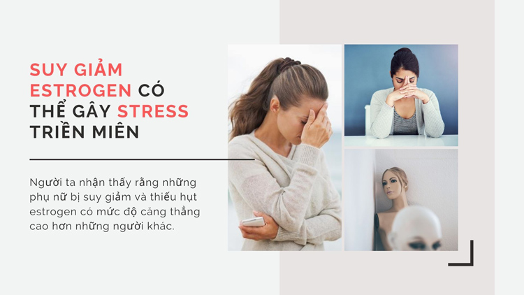 Suy giảm estrogen có thể gây ra stress triền miên 1