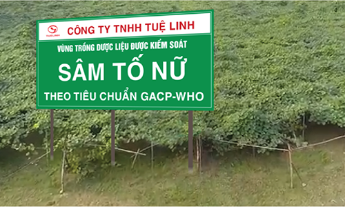 Giải pháp tự nhiên của y học hiện đại 2 Giải pháp tự nhiên của y học hiện đại 2