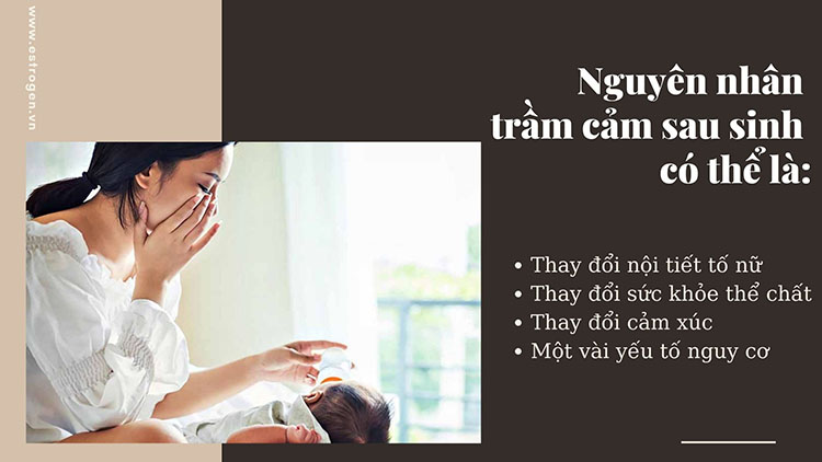 Nguyên nhân dẫn đến trầm cảm sau sinh 1