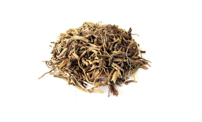 Hình ảnh cây Nữ lang và đặc điểm đáng chú ý 6 Hình ảnh cây Nữ lang và đặc điểm đáng chú ý 6