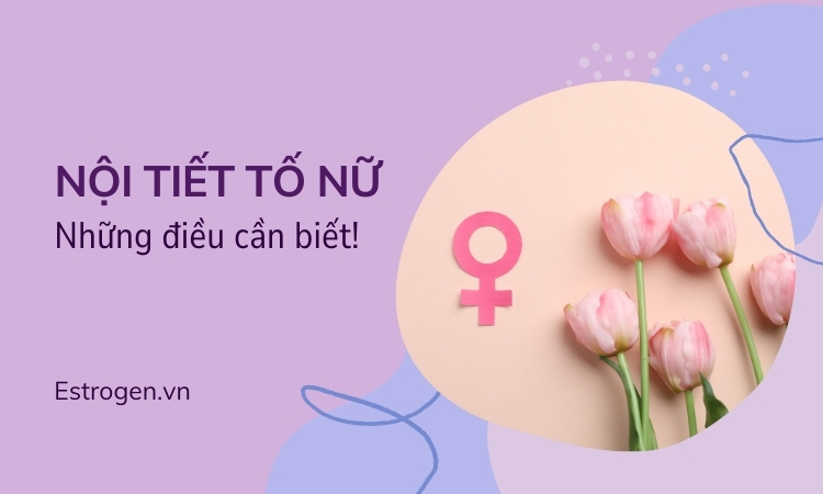Nội tiết tố nữ là gì? Những điều cần biết