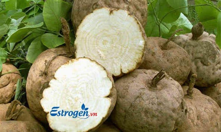 Sử dụng thực phẩm bảo vệ sức khỏe Sâm Nhung Tố Nữ Tuệ Linh 1 Sử dụng thực phẩm bảo vệ sức khỏe Sâm Nhung Tố Nữ Tuệ Linh 1
