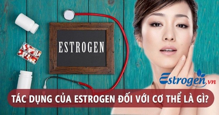 Estrogen hình thành và duy trì vẻ đẹp làn da 1