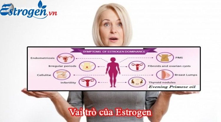 Tác dụng của estrogen đối với sức khỏe, sắc đẹp và sinh lý nữ 1