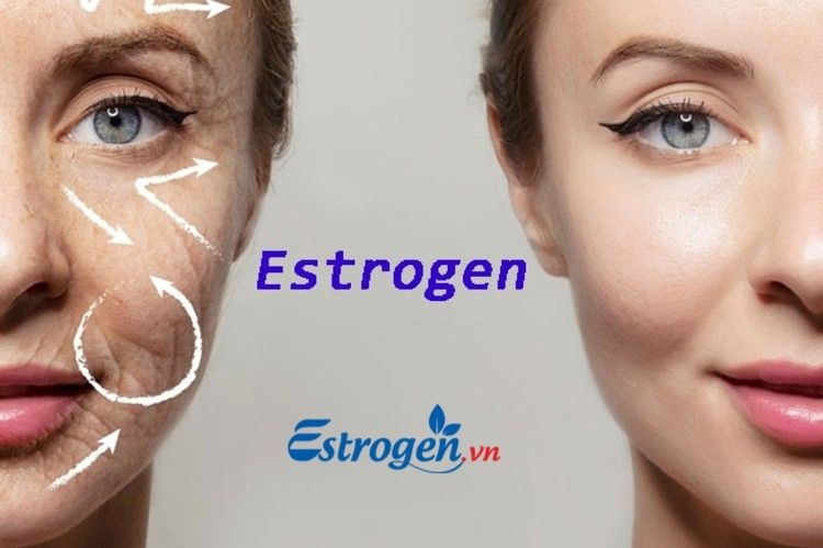 Khi nào phụ nữ cần bổ sung estrogen? 1