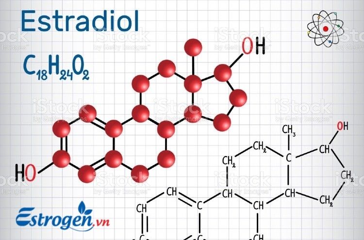 Estradiol (E2) 1