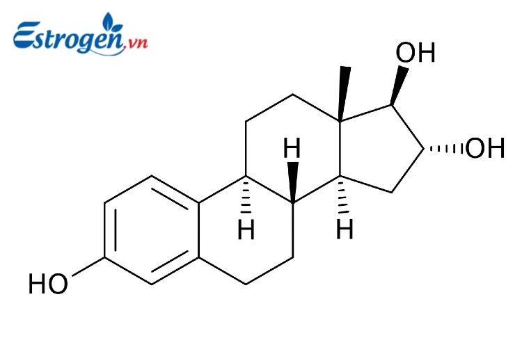 Estrone (E1) 1