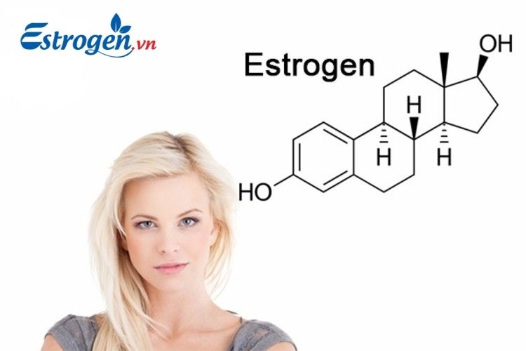 Nội tiết tố nữ Estrogen 1