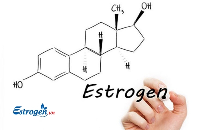 Cân bằng Estrogen 1