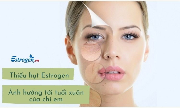 Phụ nữ có nên bổ sung estrogen không? 1