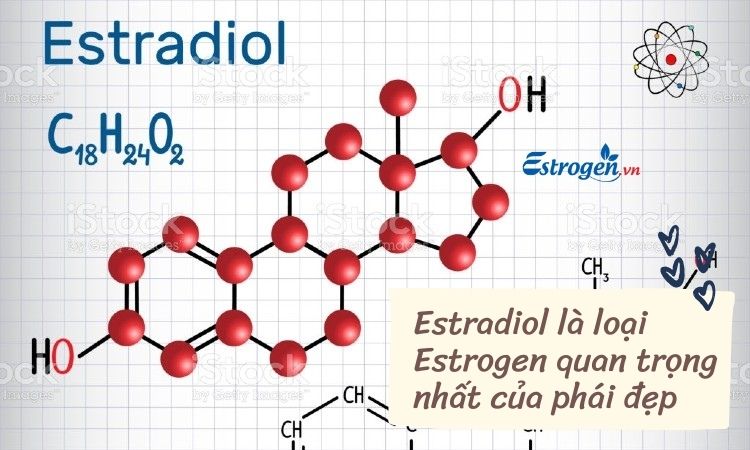 Xét nghiệm Estrogen (Estradiol E2) 1