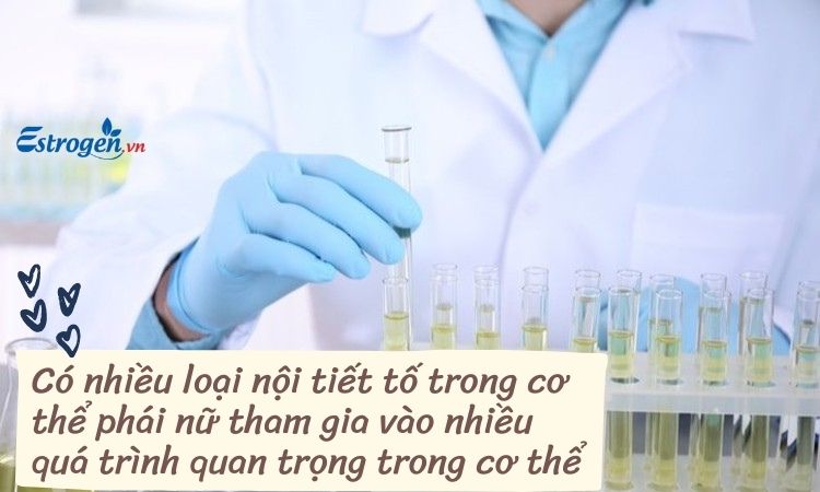 Xét nghiệm prolactin 1