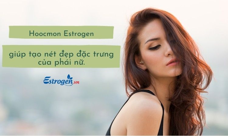 Hoocmon estrogen tạo nên nét đẹp riêng biệt của phái nữ 1