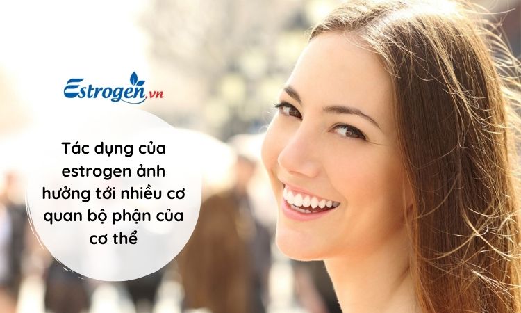 Tác dụng của estrogen 1