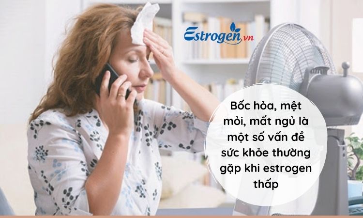 Thiếu estrogen ảnh hưởng tới sức khỏe 1