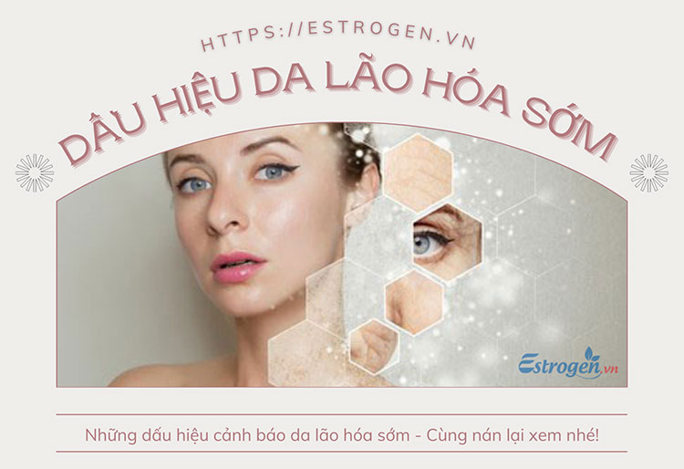 Dấu hiệu lão hóa da sớm bạn nên biết - Góc cảnh báo sớm! 1