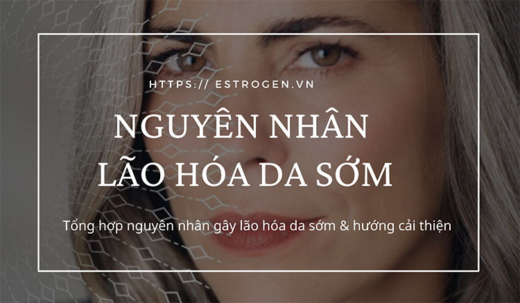 Nguyên nhân gây lão hóa da sớm & cải thiện theo từng nguyên nhân 1