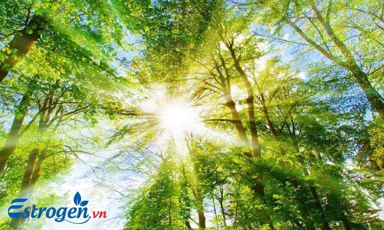 Tác động từ môi trường sống và làm việc 1 Tác động từ môi trường sống và làm việc 1