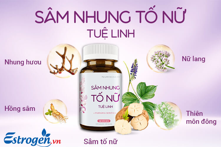 4. Sâm nhung tố nữ Tuệ Linh - thực phẩm chức năng bổ sung estrogen sau sinh 1