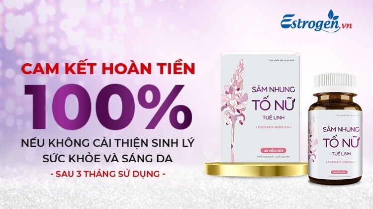 Sử dụng TPBVSK Sâm Nhung Tố Nữ Tuệ Linh để cân bằng estrogen 2