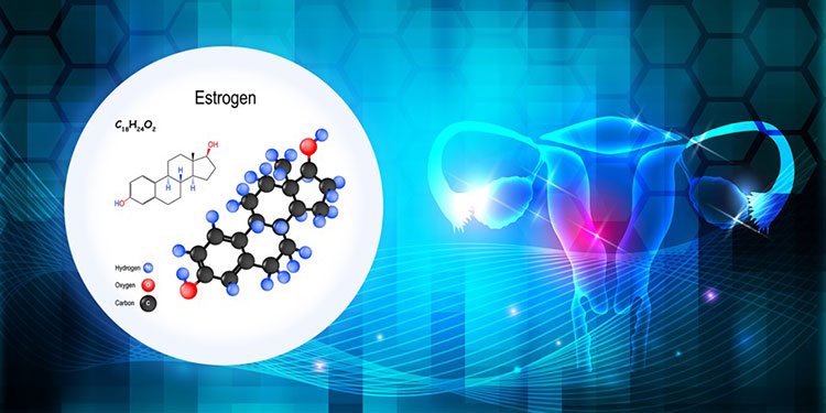 Estrogen ở phụ nữ - Bao nhiêu là bình thường? 1 Estrogen ở phụ nữ - Bao nhiêu là bình thường? 1