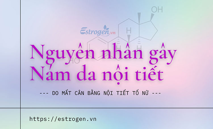 Nguyên nhân gây nám nội tiết và hướng cải thiện 1