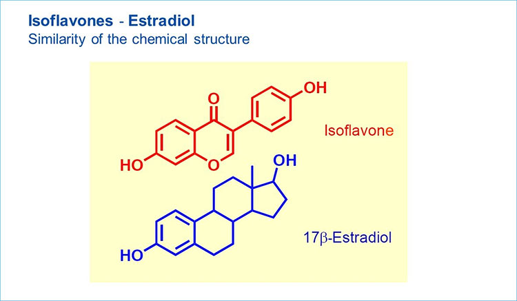 Vì sao phụ nữ thiếu hụt nội tiết tố nên bổ sung thực phẩm giàu estrogen? 1 Vì sao phụ nữ thiếu hụt nội tiết tố nên bổ sung thực phẩm giàu estrogen? 1