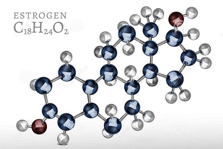 Do suy giảm estrogen 1