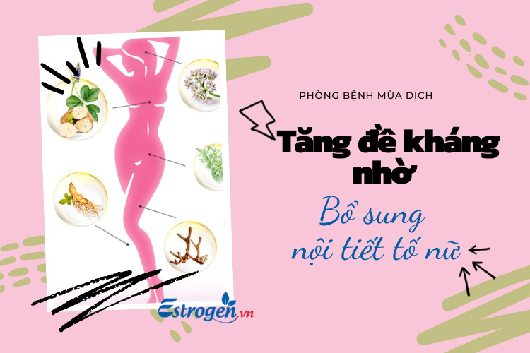 Bổ sung estrogen nâng cao đề kháng mùa dịch bệnh 1