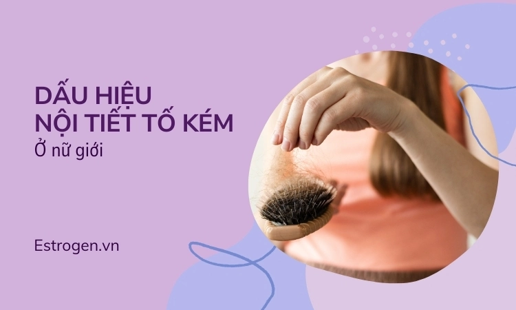 Dấu hiệu và biểu hiện của nội tiết nữ kém 1