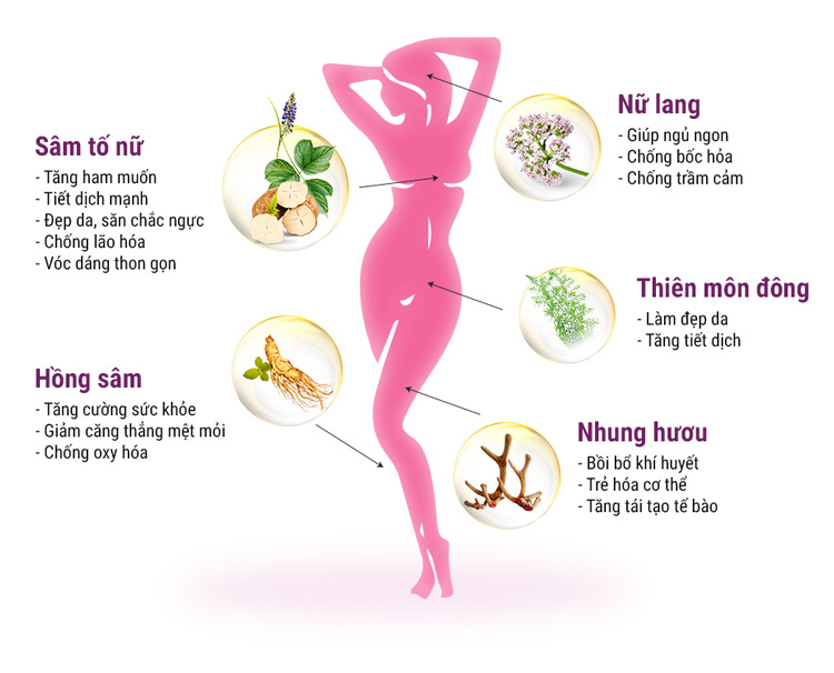 Bổ sung estrogen từ Sâm nhung tố nữ Tuệ Linh 1