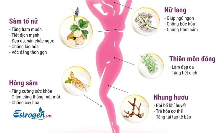 Bổ sung và cân bằng nội tiết tố nữ 1