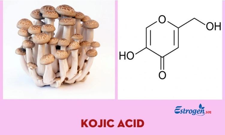 Acid Kojic 1