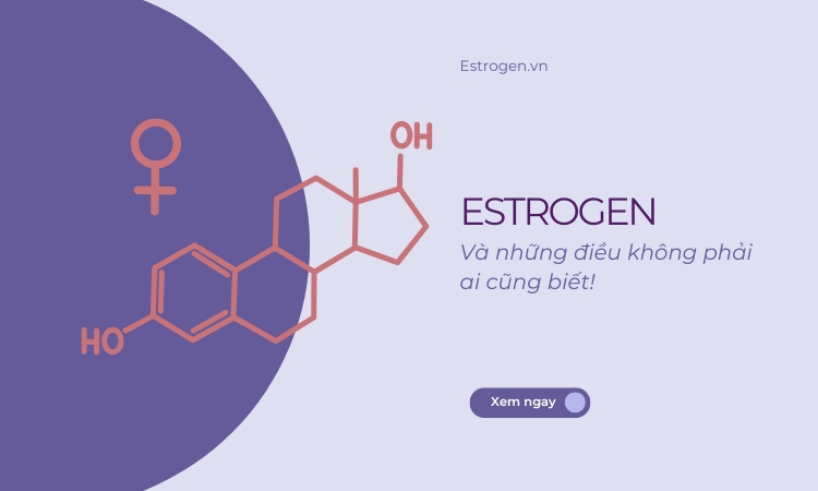 Sự thật về Estrogen – Hormone quan trọng nhất với phụ nữ Sự thật về Estrogen – Hormone quan trọng nhất với phụ nữ