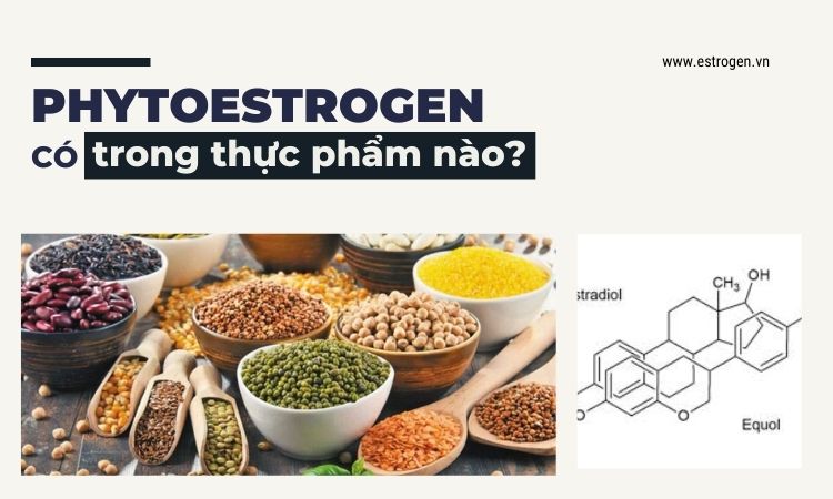 Phytoestrogen có trong thực phẩm nào? 1