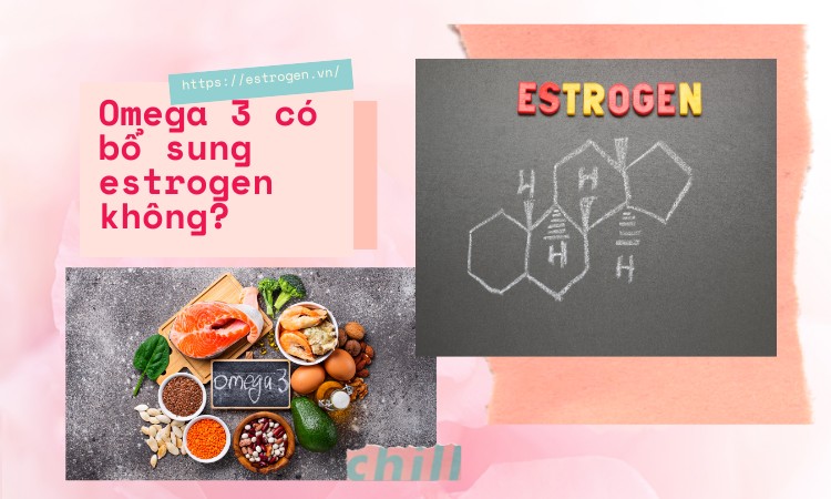 [Giải đáp] Omega 3 có bổ sung estrogen không? 1